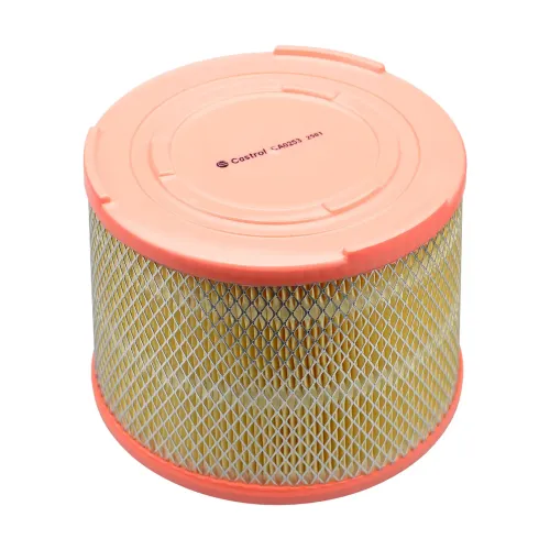 Luftfilter Castrol Filters CA0253 Bild Luftfilter Castrol Filters CA0253