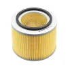 Luftfilter Castrol Filters CA0439