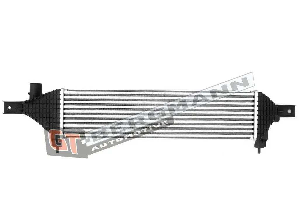 Ausgleichsbehälter, Kühlmittel GT-BERGMANN GT15-008