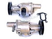 Wasserpumpe, Motorkühlung GT-BERGMANN GT16-009