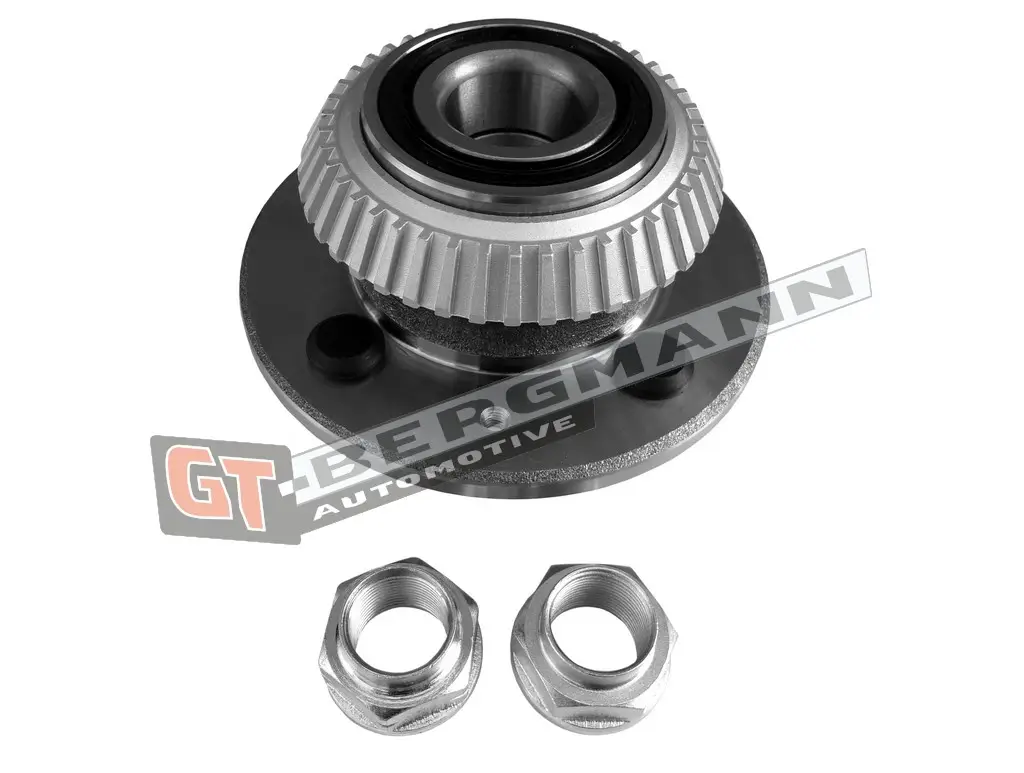Radlagersatz GT-BERGMANN GT24-079