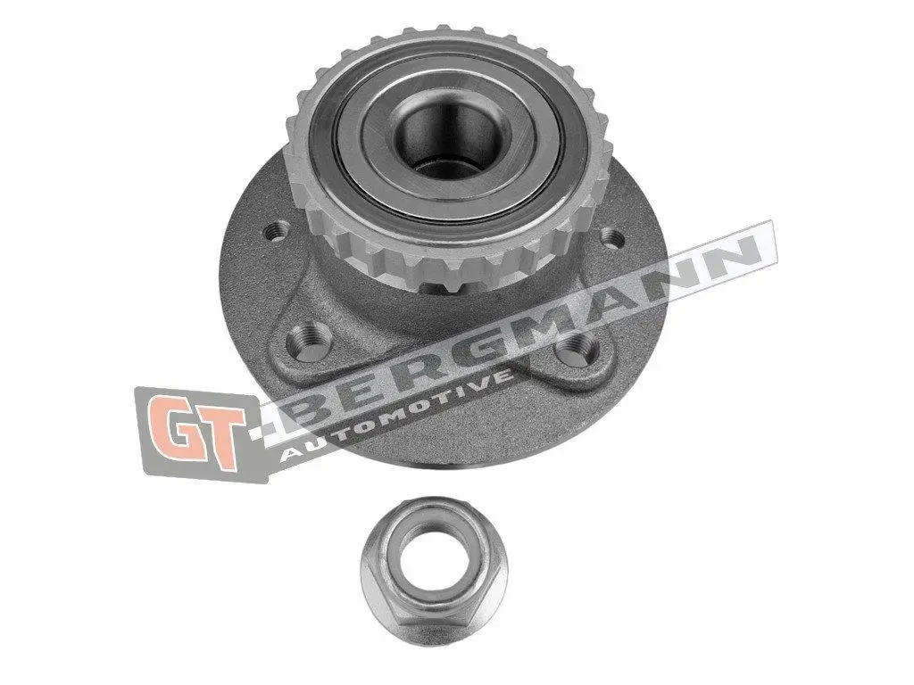 Radlagersatz Hinterachse GT-BERGMANN GT24-180