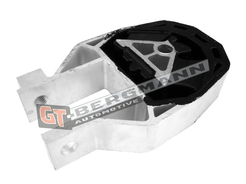 Lagerung, Motor GT-BERGMANN GT25-022