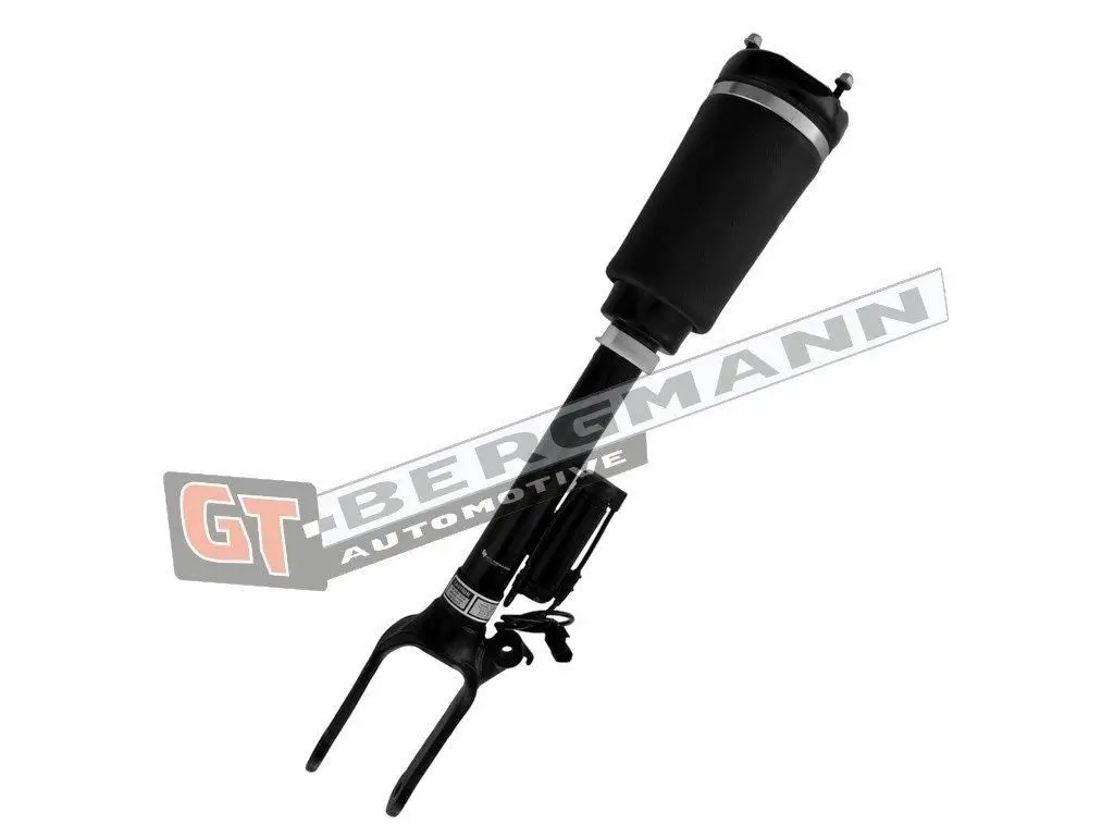 Luftfederbein Vorderachse GT-BERGMANN GT25-050