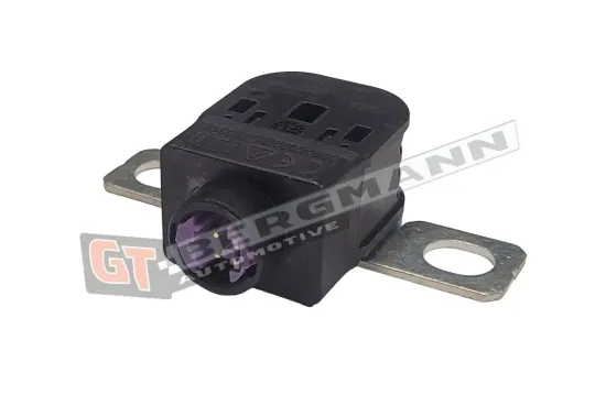 Überspannungsschutzgerät, Generator GT-BERGMANN GT40-011 Bild Überspannungsschutzgerät, Generator GT-BERGMANN GT40-011