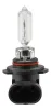 Glühlampe, Fernscheinwerfer 12 V beidseitig 65 W HB3 GT-BERGMANN GT40-024 Bild Glühlampe, Fernscheinwerfer 12 V beidseitig 65 W HB3 GT-BERGMANN GT40-024