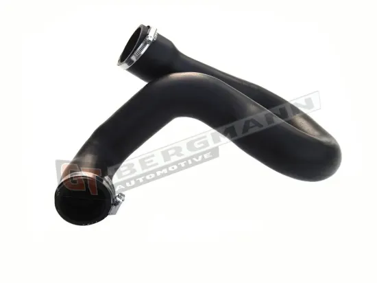 Ladeluftschlauch GT-BERGMANN GT52-189 Bild Ladeluftschlauch GT-BERGMANN GT52-189