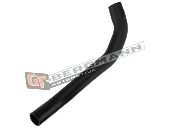 Ladeluftschlauch GT-BERGMANN GT52-282 Bild Ladeluftschlauch GT-BERGMANN GT52-282