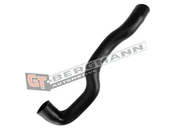 Ladeluftschlauch GT-BERGMANN GT52-653 Bild Ladeluftschlauch GT-BERGMANN GT52-653