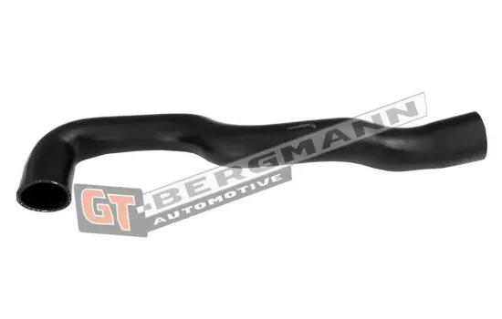 Ladeluftschlauch GT-BERGMANN GT52-653 Bild Ladeluftschlauch GT-BERGMANN GT52-653