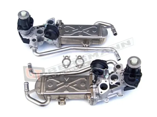 AGR-Modul GT-BERGMANN GT55-032 Bild AGR-Modul GT-BERGMANN GT55-032