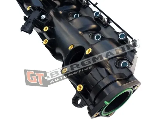 Saugrohrmodul GT-BERGMANN GT57-007 Bild Saugrohrmodul GT-BERGMANN GT57-007