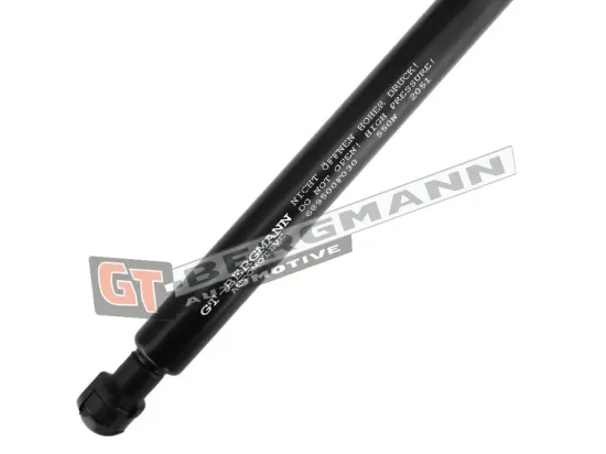 Kühler, Motorkühlung GT-BERGMANN GT10-155 Bild Kühler, Motorkühlung GT-BERGMANN GT10-155