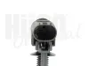 Sensor, Raddrehzahl Hinterachse HÜCO 131672 Bild Sensor, Raddrehzahl Hinterachse HÜCO 131672