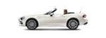 Fiat 124 Spider 2 (348)