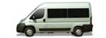 Fiat Doblo Pritsche/Fahrgestell (250)